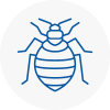 Bed Bug Extermination In Lydd