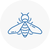 Bee Nest Removal Lydd