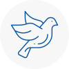 Bird Prevention Lydd