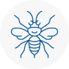 Lydd Hornet Nest Removals