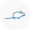 Mice Exterminators In Lydd