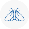 Moth Control Specialists In Lydd