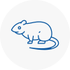 Rat Control Lydd