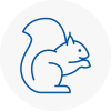 Lydd Rodent Removals
